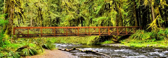 Lakeside Spine and Wellness in East Renton Highlands WA