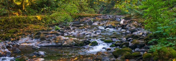 Lakeside Spine and Wellness in Renton WA